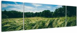 Mivali Tablou cu linca și pădure, din trei bucăți 170x50 cm (V021343V17050)