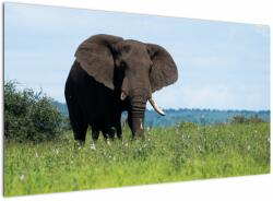 Mivali Tablou cu elefant, dintr-o bucată 120x70 cm (V021182V12070)