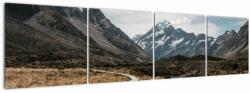 Mivali Tablou - Poteca în valea muntelui Mt. Cook, din patru bucăți 160x40 cm (V021571V16040)