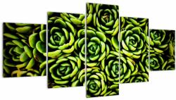 Mivali Tablou cu flori de piatră, din cinci bucăți 150x80 cm (V021505V150805PCS)