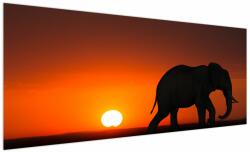 Mivali Tablou cu elefant în apus de soare, dintr-o bucată 250x125 cm (V021976V250125)