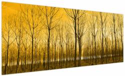 Mivali Tablou cu pădure în apus de soare, dintr-o bucată 250x125 cm (V020905V250125)