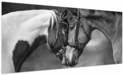 Mivali Tablou - Cai îndrăgostiți, alb-negru, dintr-o bucată 100x40 cm (V024130V10040)