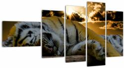 Mivali Tablou tigrul dormind, din cinci bucăți 110x60 cm (V020408V11060)