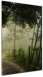 Mivali Tablou cu ceața de dimineața, dintr-o bucată 60x90 cm (V021373V6090)