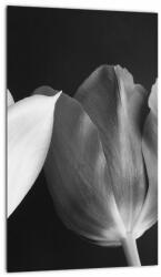 Mivali Tablou - Lalele alb negre, dintr-o bucată 20x30 cm (V021916V2030)