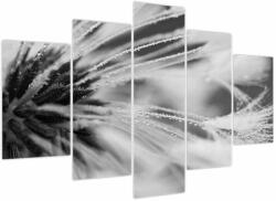 Mivali Tablou - Macro, alb-negru, din cinci bucăți 150x105 cm (V024115V150105)