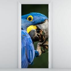 Mivali Fototapet pentru ușă - Papagal (D020714D95205)
