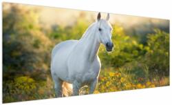 Mivali Tablou - Cal alb în poină, dintr-o bucată 250x125 cm (V023067V250125)