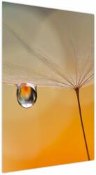 Mivali Tablou - Flori macro, dintr-o bucată 60x90 cm (V023889V6090)