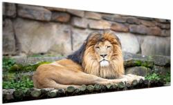 Mivali Tablou cu leu, dintr-o bucată 250x125 cm (V021390V250125)