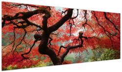 Mivali Tablou - Arțarul japonez roșu, Portland, Oregon, dintr-o bucată 145x58 cm (V023677V14558)