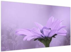 Mivali Tablou - Flori mov, dintr-o bucată 120x70 cm (V023935V12070)