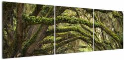 Mivali Tablou - Oaks Avenue, Charleston, Carolina de Sud, SUA, din trei bucăți 150x50 cm (V023285V15050)