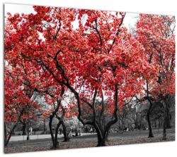 Mivali Tablou - Copacii roșii, Central Park, New York, dintr-o bucată 70x50 cm (V022930V7050)