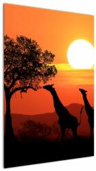 Mivali Tablou cu girafe în apus de soare, dintr-o bucată 60x90 cm (V022006V6090)