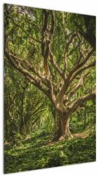 Mivali Tablou cu copaci, dintr-o bucată 60x90 cm (V021216V6090)