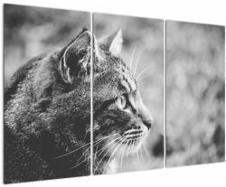 Mivali Tablou - Pisica, din trei bucăți 120x80 cm (V022727V120803PCS)