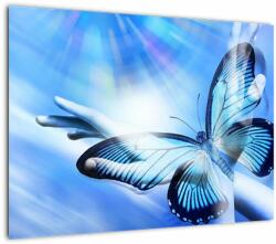 Mivali Tablou - Fluture, simbolul speranței, dintr-o bucată 70x50 cm (V022518V7050)