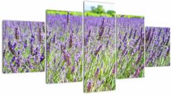 Mivali Tablou - Lavandă în câmp, din cinci bucăți 150x80 cm (V022561V150805PCS)