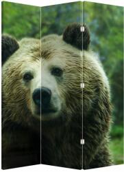 Mivali Paravan - Ursul, din 3 bucăți, 126x170 cm (P020185P135180)