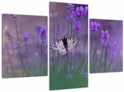 Mivali Tablou - fluture în lavandă, din trei bucăți 90x60 cm (V021452V90603PCS)