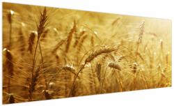 Mivali Tablou - Spice de cereale, dintr-o bucată 250x125 cm (V022459V250125)