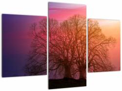 Mivali Tabloul pomilor în ceață, din trei bucăți 90x60 cm (V020088V90603PCS)