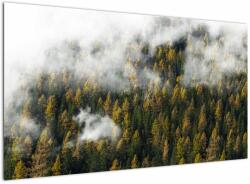 Mivali Tablou - Pădure în nori, dintr-o bucată 120x70 cm (V022666V12070)
