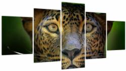 Mivali Tablou - Portretul leoparduslui, Sri Lanka (V021762V150805PCS)