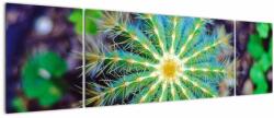 Mivali Tablou cu cactus, din trei bucăți 170x50 cm (V020556V17050)