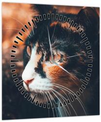 Mivali Tablou - Privirea pisicii (cu ceas), dintr-o bucată 30x30 cm cu ceas (V022578V3030C)