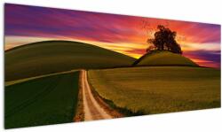 Mivali Tablou câmpului cu apus de soare, dintr-o bucată 145x58 cm (V020166V14558)