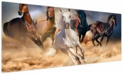 Mivali Tablou - Caii în deșert, dintr-o bucată 250x125 cm (V023220V250125)