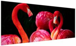 Mivali Tablou cu flamengo roșii, dintr-o bucată 250x125 cm (V021117V250125)