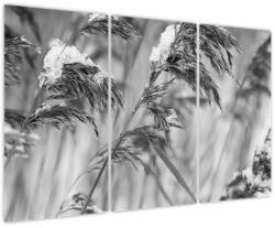 Mivali Tablou - Tei, alb-negru, din trei bucăți 120x80 cm (V024118V120803PCS)