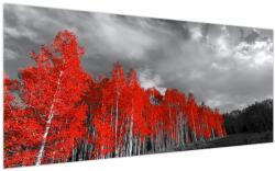 Mivali Tablou - Copaci în culorile toamnei, dintr-o bucată 200x100 cm (V022052V200100)