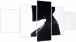 Mivali Tablou - Silueta feminină, nud, din cinci bucăți 150x80 cm (V023899V150805PCS)
