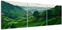 Mivali Tablou Plantații de ceai - Malaezia, din trei bucăți 150x50 cm (V022493V15050)