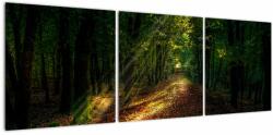 Mivali Tablou cu poteca prin pădure, din trei bucăți 120x40 cm (V020253V12040)