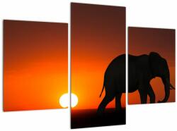 Mivali Tablou cu elefant în apus de soare, din trei bucăți 90x60 cm (V021976V90603PCS)