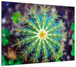 Mivali Tablou pe sticlă cu cactus, dintr-o bucată 70x50 cm pe sticlă (V020556V7050GD)