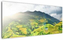 Mivali Tablou plantație, dintr-o bucată 120x50 cm (V020635V12050)