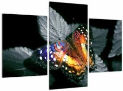 Mivali Tablou cu fluture, din trei bucăți 90x60 cm (V022220V90603PCS)