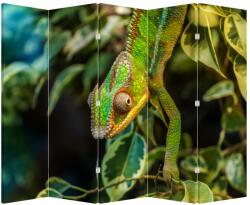 Mivali Paravan - Cameleon, din 5 bucăți, 210x170 cm (P021236P225180)