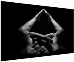 Mivali Tablou - Nud feminin pe fundal negru, dintr-o bucată 150x100 cm (V023496V150100)