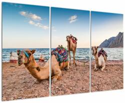 Mivali Tablou cu cămile, din trei bucăți 120x80 cm (V022121V120803PCS)