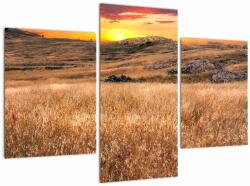 Mivali Tablou cu câmp, din trei bucăți 90x60 cm (V020837V90603PCS)