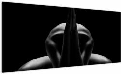 Mivali Tablou cu nud feminin, dintr-o bucată 100x40 cm (V020804V10040)