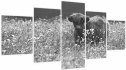 Mivali Tablou - Vacă scoțiană 5, alb-negru, din cinci bucăți 150x80 cm (V024132V150805PCS)